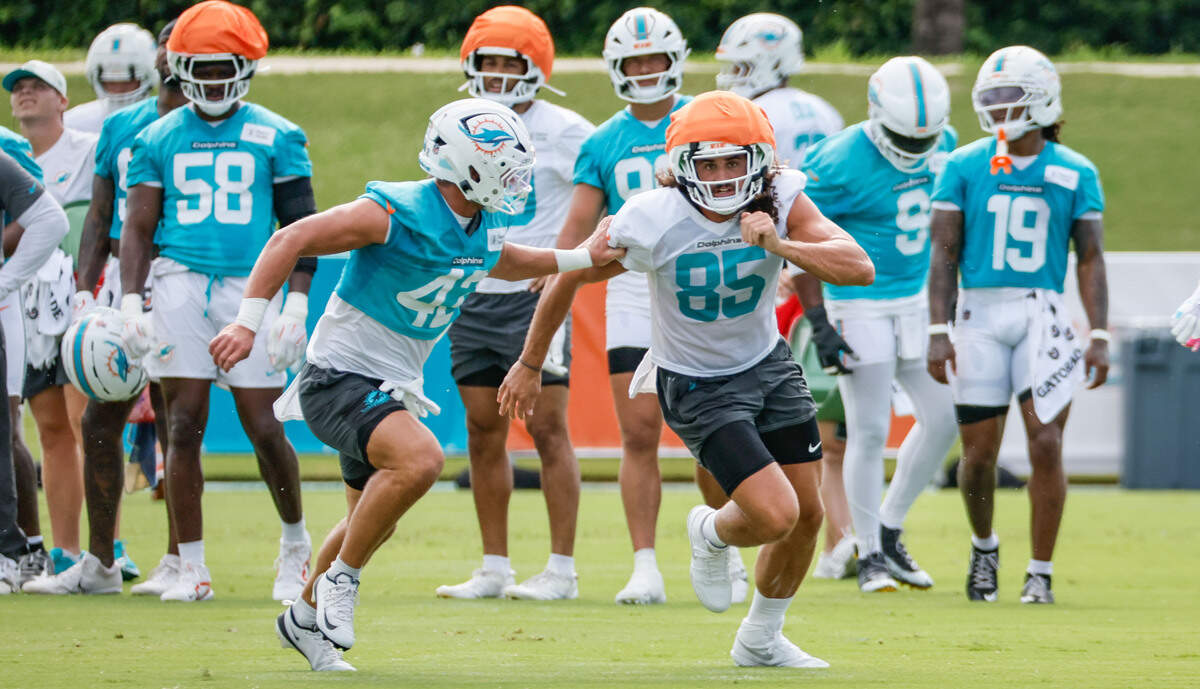 Miami Dolphins tight end Greg Dulcich (85) and linebacker Jackson Woodard (42) run through practice drills at the Miami Dolphins Training Camp in Miami Gardens, Florida, on Friday, July 31, 2026.